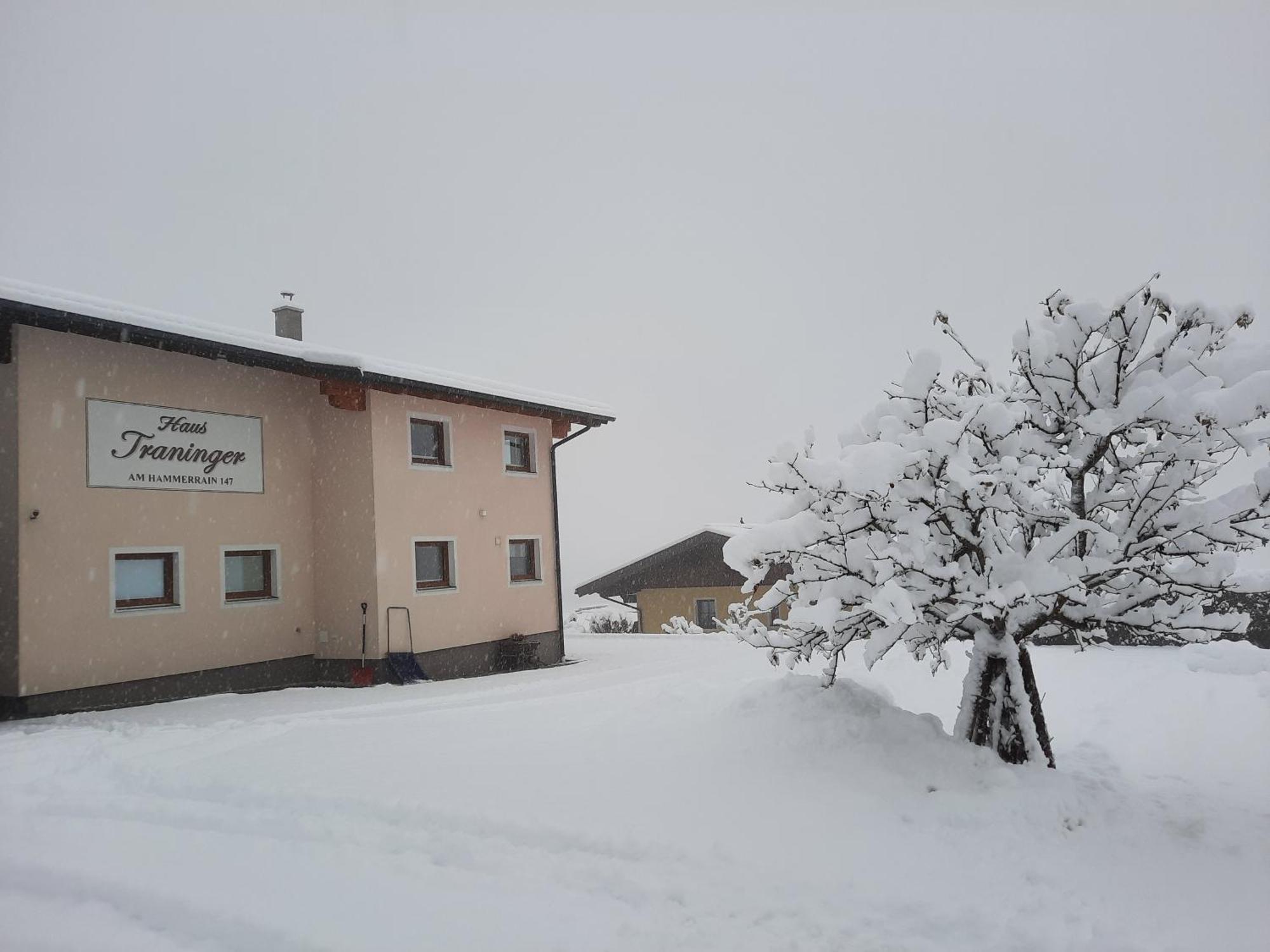 Haus Traninger Apartment Flachau Ngoại thất bức ảnh