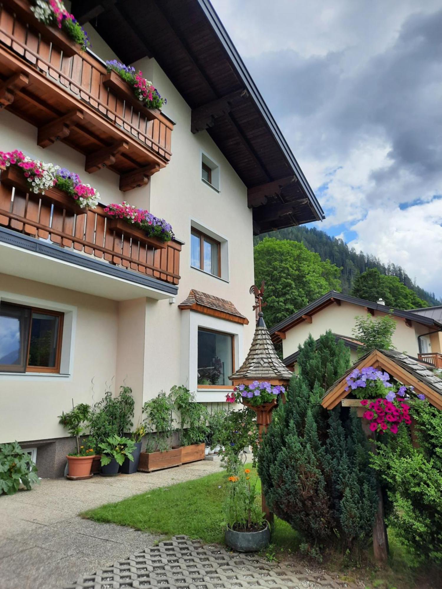 Haus Traninger Apartment Flachau Ngoại thất bức ảnh